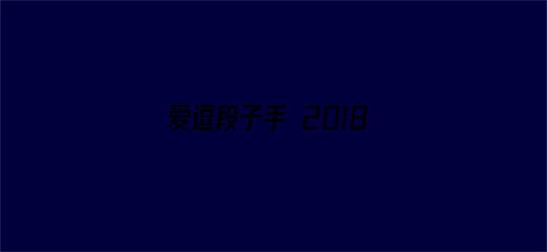 爱逗段子手 2018